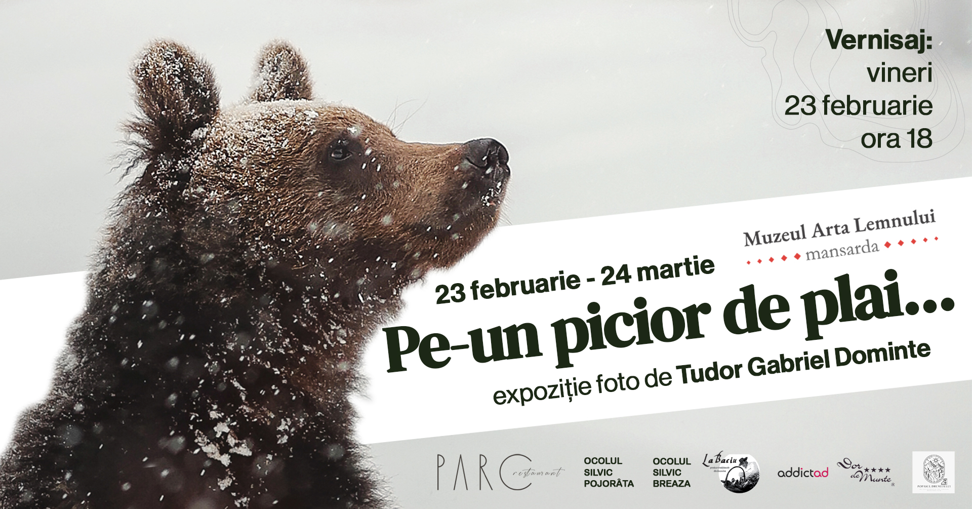 Muzeul Arta Lemnului va găzdui vernisajul expoziției „Pe un picior de plai…” care prezintă 42 de lucrări realizate de Tudor Gabriel Dominte.