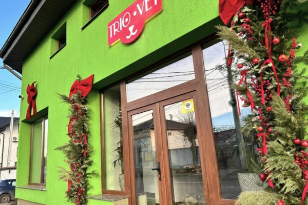 „La mâțe” by Triovet – Cafeneaua din Botoșani care oferă cămin la peste 100 de pisici salvate "La mâțe" by Triovet – Cafeneaua din Botoșani care oferă cămin la peste 100 de pisici salvate