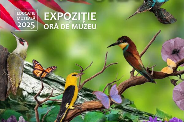 „Explorarea Diversității Cromatice: Expoziția ‘Culoarea în Natură’ la Muzeul de Științele Naturii Suceava” "Explorarea Diversității Cromatice: Expoziția 'Culoarea în Natură' la Muzeul de Științele Naturii Suceava"