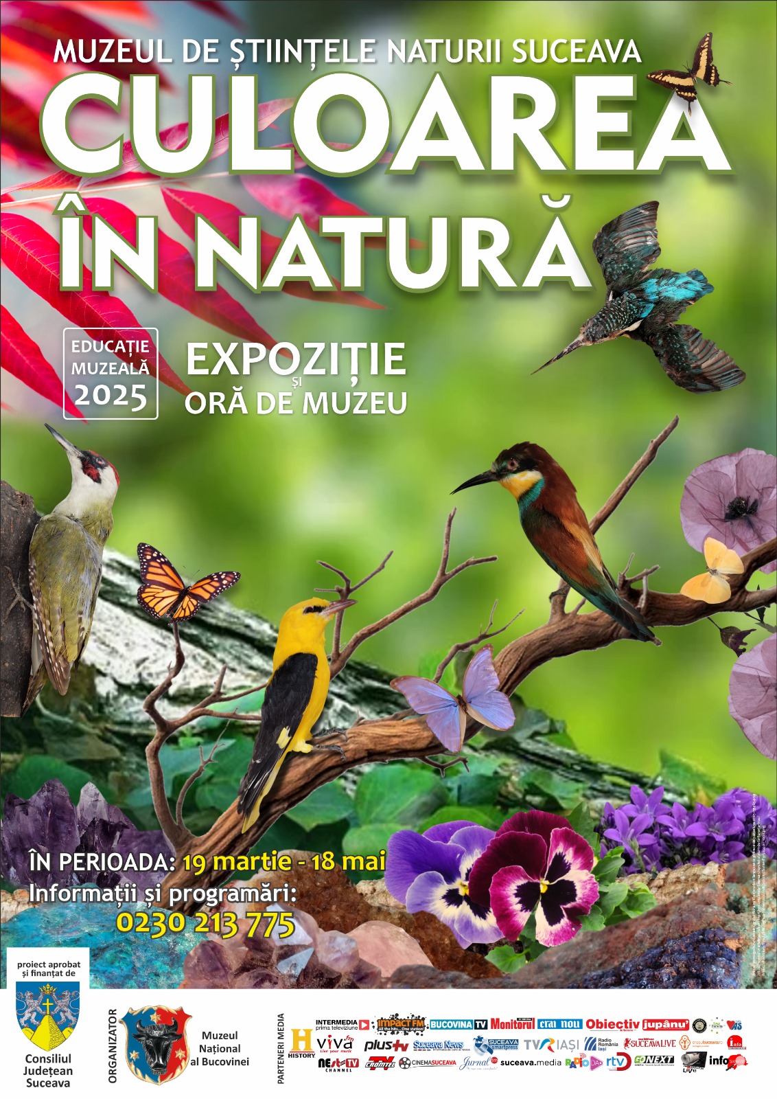 "Explorarea Diversității Cromatice: Expoziția 'Culoarea în Natură' la Muzeul de Științele Naturii Suceava"