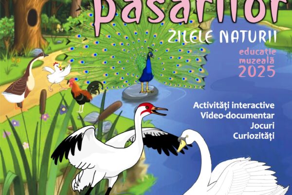 Ziua păsărilor la Muzeul de Științele Naturii Suceava Ziua păsărilor la Muzeul de Științele Naturii Suceava