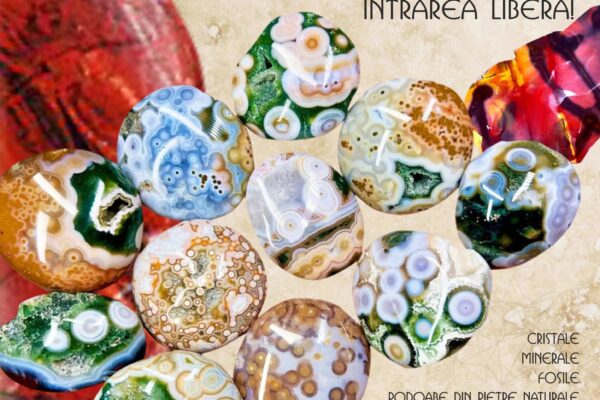 JASPUL la Expoziția de Minerale de la Muzeul de Științele Naturii JASPUL la Expoziția de Minerale de la Muzeul de Științele Naturii