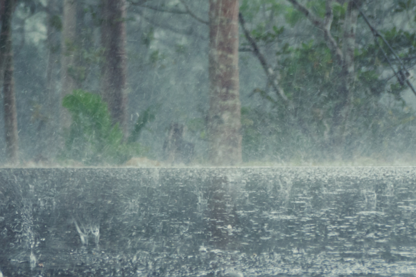 Atenționare Meteo: Ploi abundente și vânt puternic Atenționare Meteo: Ploi abundente și vânt puternic