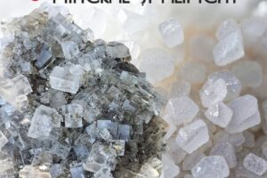 „SAREA – MINERAL ȘI ALIMENT” – Descoperă Expoziția Specială la Muzeul de Științele Naturii Suceava „SAREA – MINERAL ȘI ALIMENT” - Descoperă Expoziția Specială la Muzeul de Științele Naturii Suceava