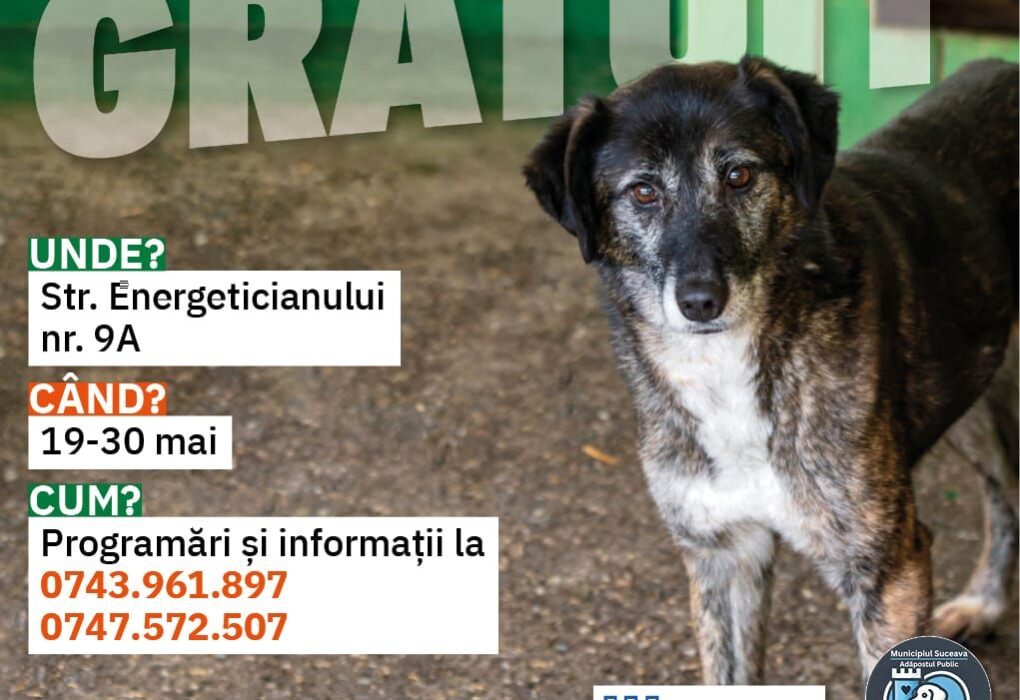 Sterilizare Gratuită a câinilor și pisicilor din Suceava: O oportunitate pentru responsabilitatea comunitară Sterilizare Gratuită a câinilor și pisicilor din Suceava: O oportunitate pentru responsabilitatea comunitară