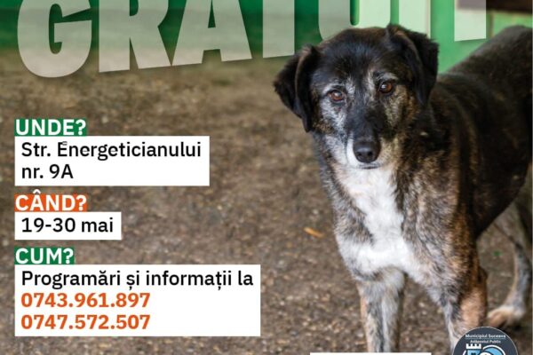 Sterilizare Gratuită a câinilor și pisicilor din Suceava: O oportunitate pentru responsabilitatea comunitară Sterilizare Gratuită a câinilor și pisicilor din Suceava: O oportunitate pentru responsabilitatea comunitară